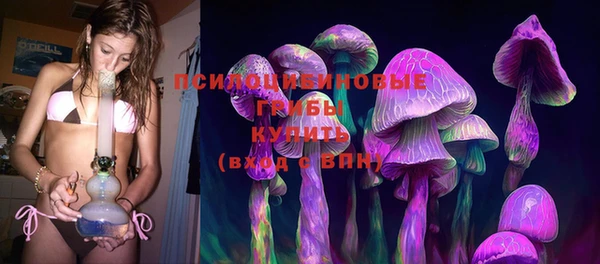 прущий лед Осинники