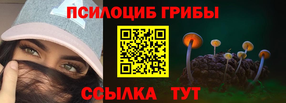 Азов  Галлюциногенные грибы мицелий  Вход с VPN 